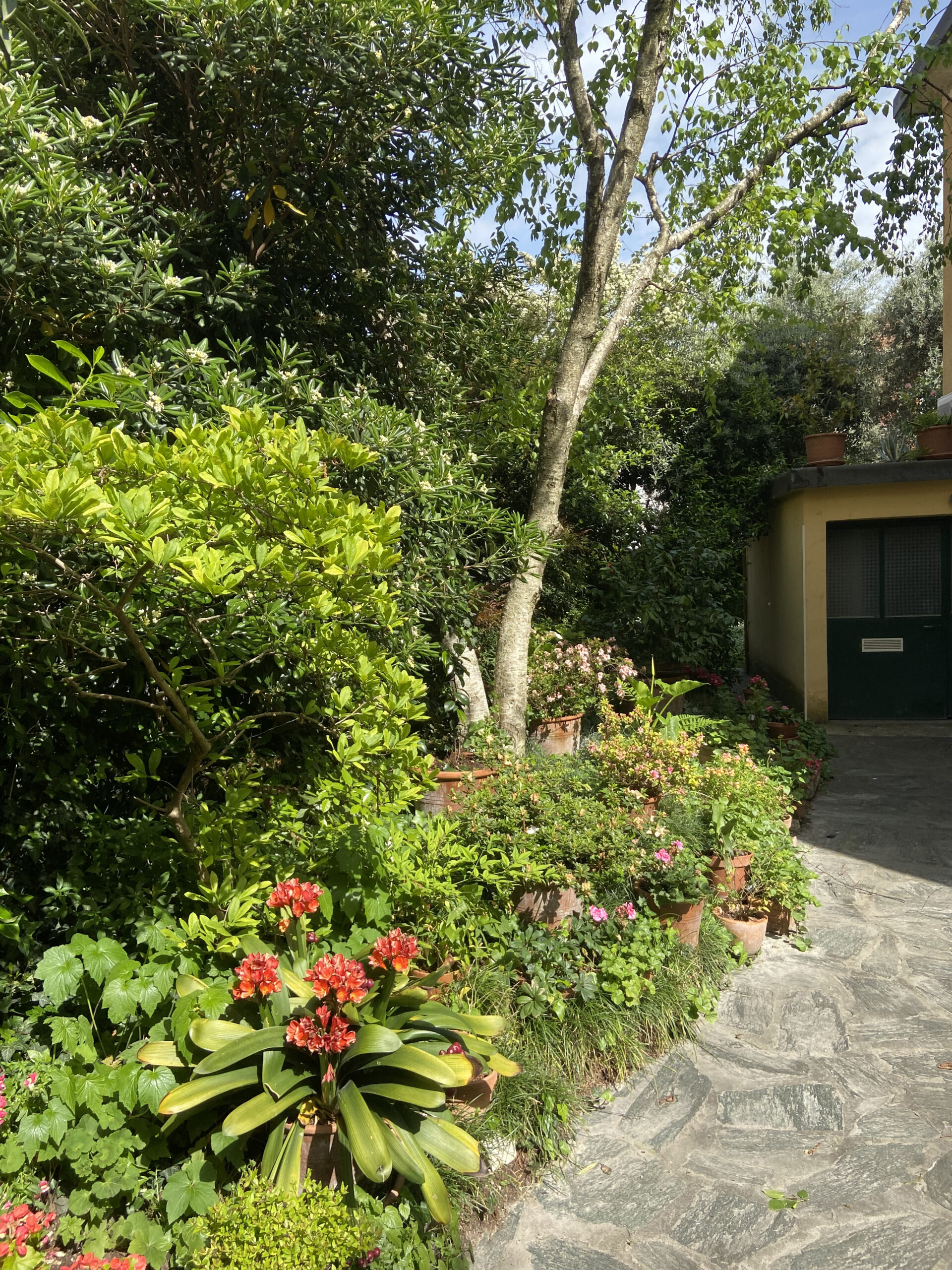 Giardino esterno alla casa
